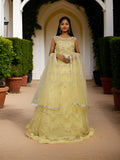 Gown with Pearls & Sequin by Shreekama